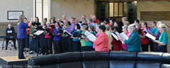 Centenary Musical Offering 17 Feb 2017. Photographer Peter Hislop